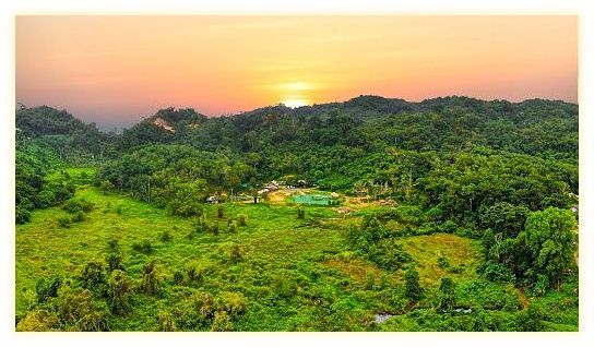 Phuket Elephant Care 이미지