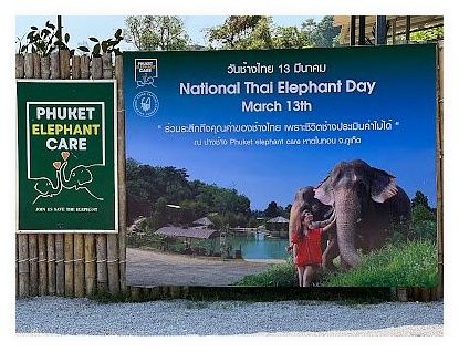 Phuket Elephant Care 이미지