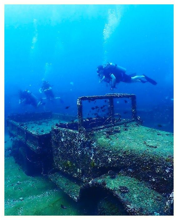 Sea Bees Diving Khao Lak | Scuba Diving Similans 이미지