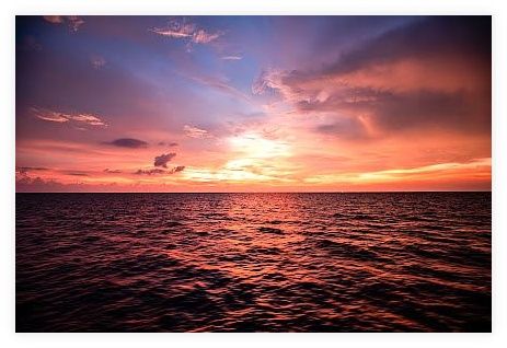 Sea Dragon Dive Center, Khao Lak 이미지
