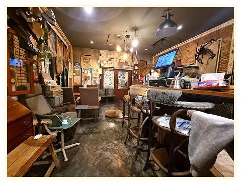 SheeVa Café 이미지