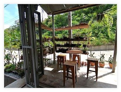 The Bunker Climbing Gym Koh Tao 이미지