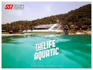 코사무이 숨겨진 보석 The Life Aquatic 솔직 후기 인생 최고의 다이빙 경험과 친절한 서비스 감동 후기 이미지