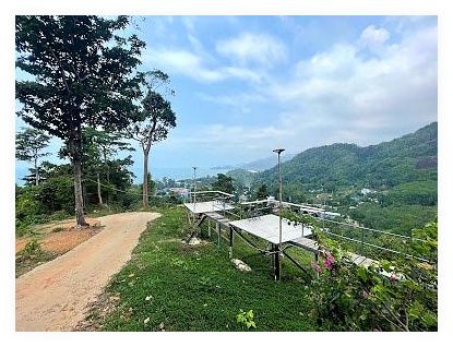 The Mount 이미지
