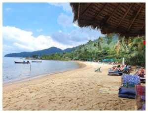 코창 액티비티 끝판왕 Tree Top Adventure Park Koh Chang 정글 짚라인 어드벤처 후기 이미지