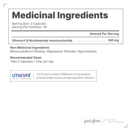 저스트글로우 UTHEVER NMN 500mg, 60정, 6개 이미지