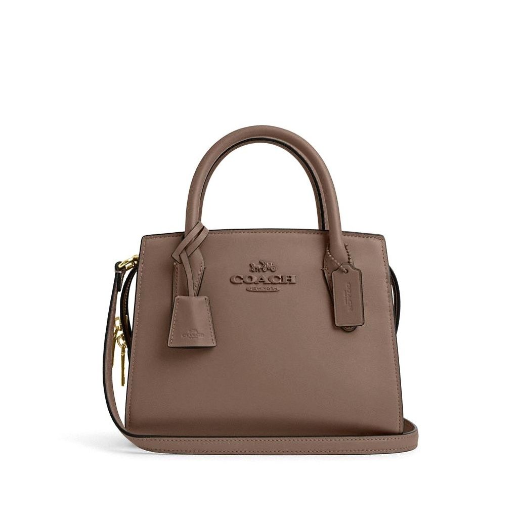 코치 Andrea Carryall Bag 이미지