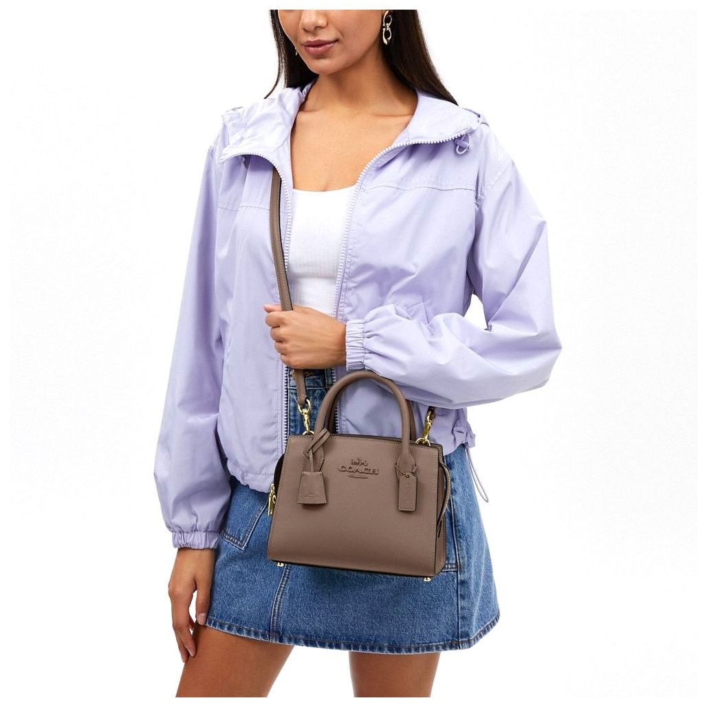 코치 Andrea Carryall Bag 이미지