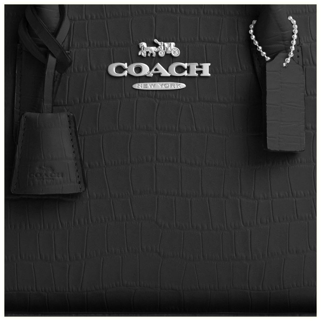 코치 Andrea Carryall Bag 이미지