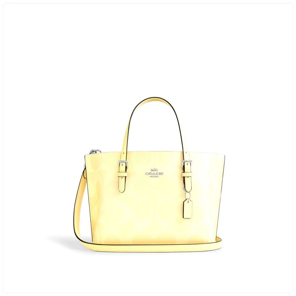 코치 Mollie Tote Bag 25 In Signature Canvas 이미지