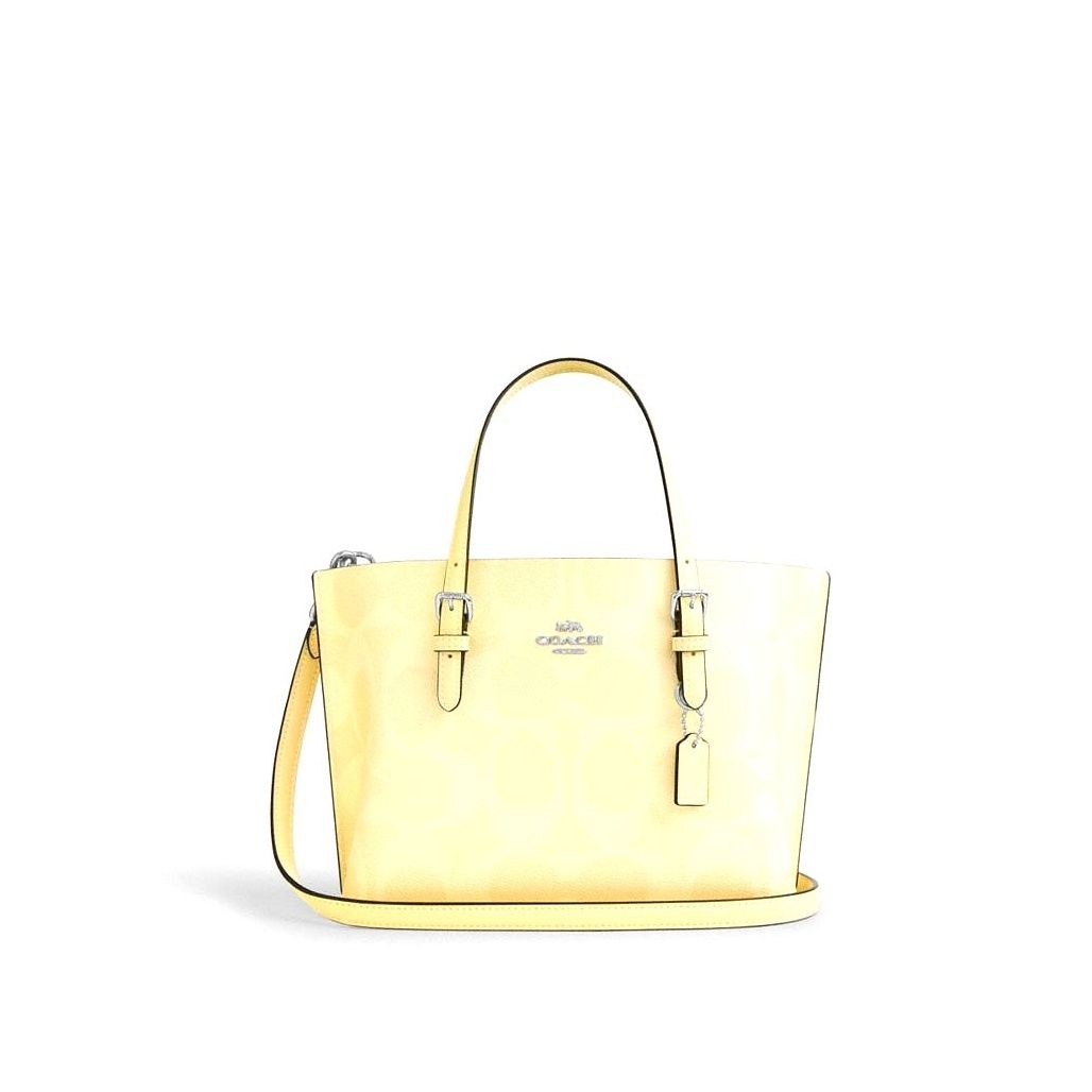 코치 Mollie Tote Bag 25 In Signature Canvas 이미지