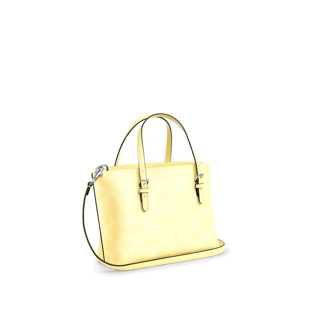 코치 Mollie Tote Bag 25 In Signature Canvas 이미지