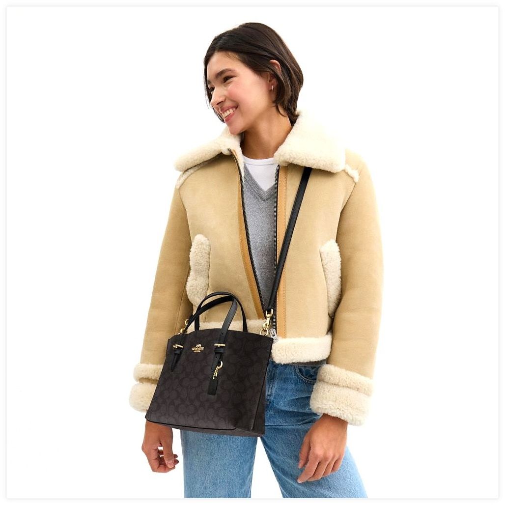 코치 Mollie Tote Bag 25 In Signature Canvas 이미지