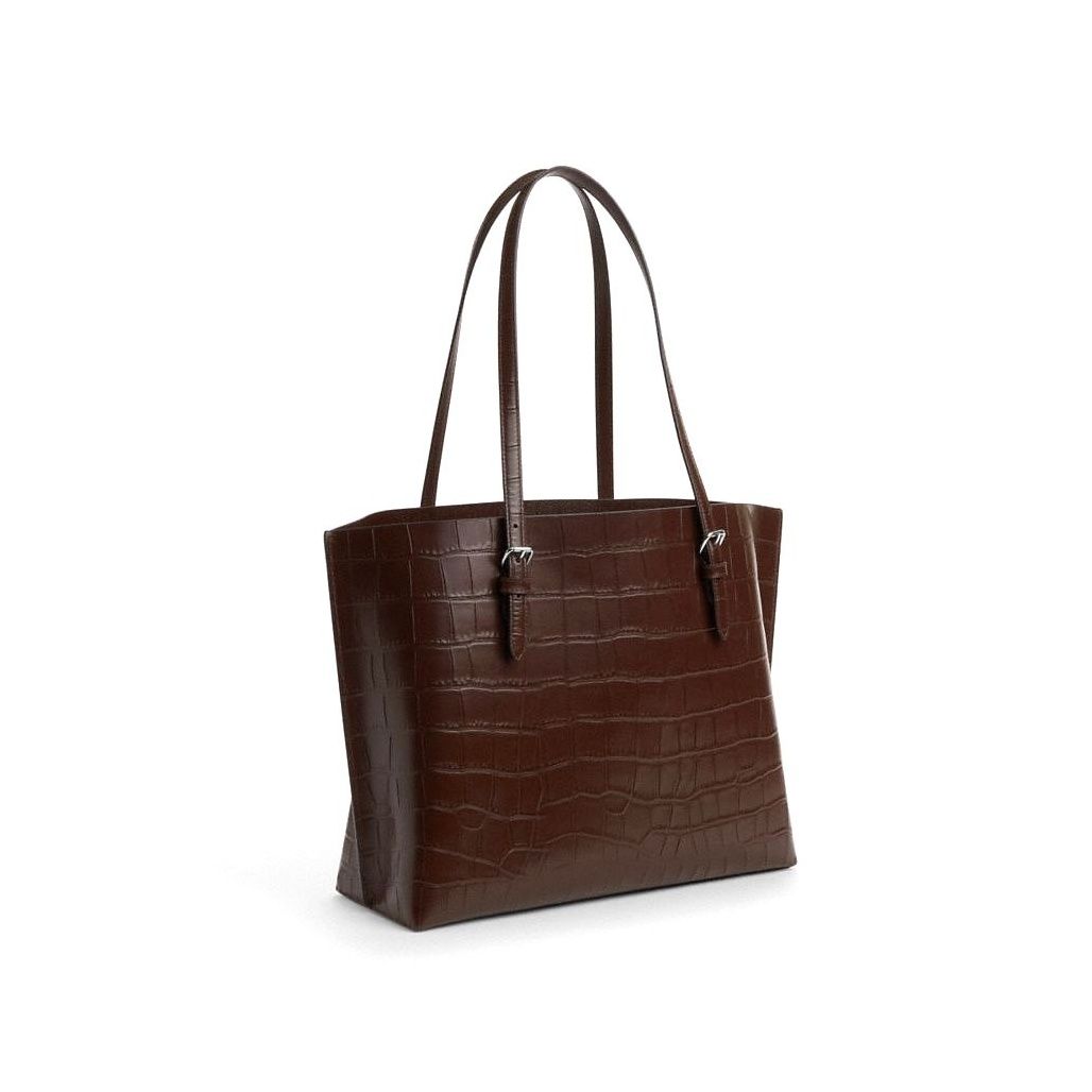 코치 Mollie Tote Bag 이미지