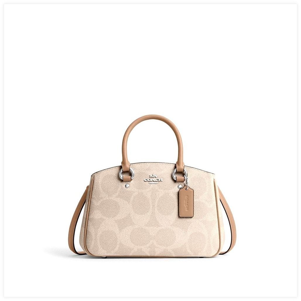 코치 Savannah Small Carryall Bag In Signature Canvas 이미지