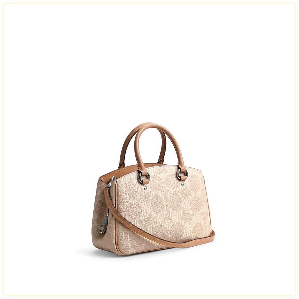 코치 Savannah Small Carryall Bag In Signature Canvas 이미지