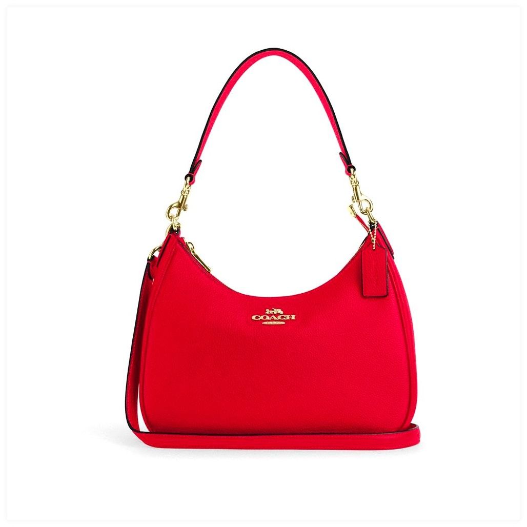 코치 Teri Hobo Bag 이미지