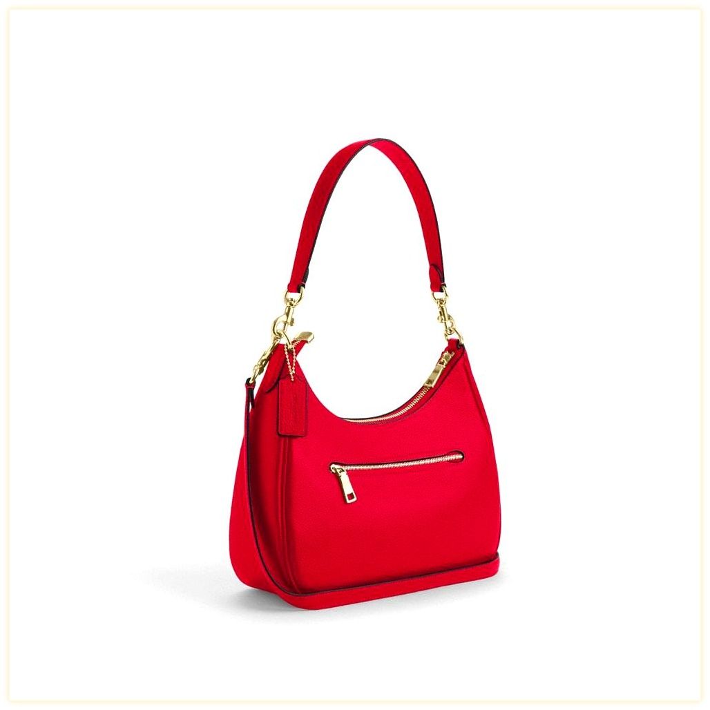 코치 Teri Hobo Bag 이미지