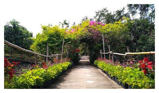 น้ำตก วัดสวนแก้ว 이미지