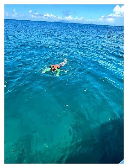 Five Star Thailand | Phi Phi Island Tour 이미지