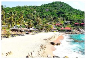 코타오의 푸른 꿈을 담아, Island Travel Scooters와 함께 달리는 섬 여행 스케치 이미지