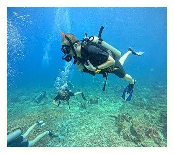 Khao Lak Explorer Diving Center: Similan Islands Liveaboard & Day Trips Richelieu Rock 이미지