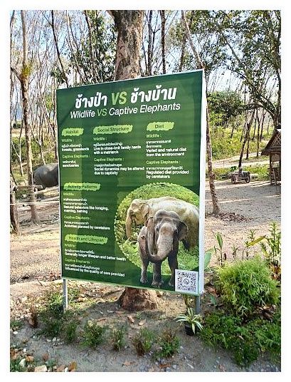 Khaolak Elephant Sanctuary 이미지