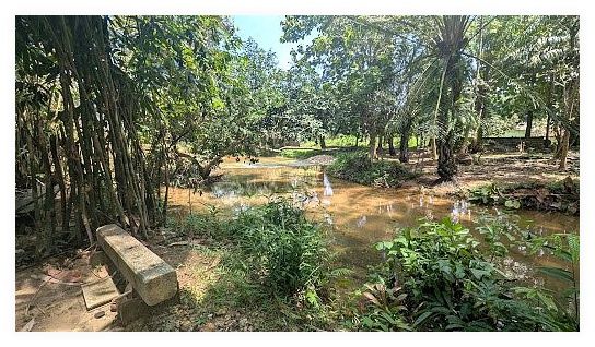 Khaolak Elephant Sanctuary 이미지