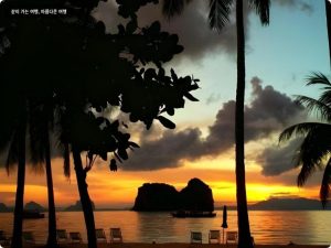 끄라비 Koh Hai Fantasy Resort & Spa 후기 인생 최고의 휴양지 발견 끄라비 신혼여행 추천 이미지
