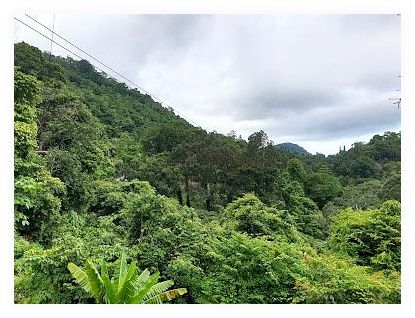 Koh Samui Tours, Day Trips & Excursions 이미지