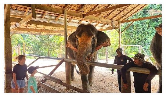 Nice Trip Khao Lak | Excursions à Khao Lak en Thaïlande 이미지