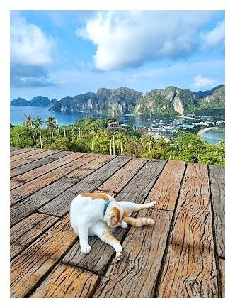 Phi Phi Viewpoint 2 이미지