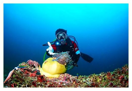 Princess Divers - Scuba Diving Phi Phi Island 이미지