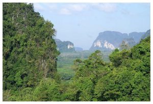 에메랄드빛 크라비, 짜릿한 설렘 한 스푼 – THAI’D UP ADVENTURES에서 만난 행복 이미지