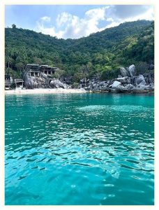 코타오 다이빙 맛집 인생 최고의 경험 Taco Divers Koh Tao 솔직 후기 (가격, 예약 꿀팁) 이미지