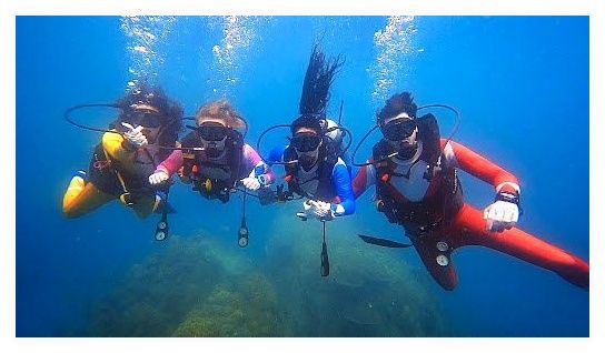 Taco Divers Koh Tao 이미지
