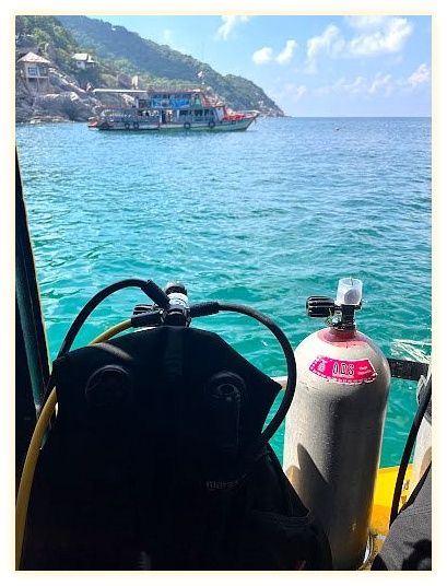 Taco Divers Koh Tao 이미지