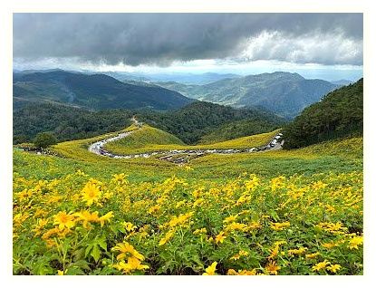 Thung Bua Tong Fields at Doi Mae U Kho 이미지