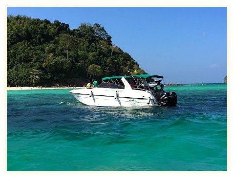 V MARINE TOUR 이미지