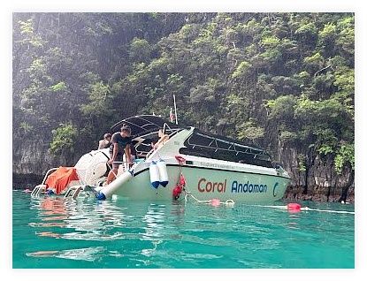V MARINE TOUR 이미지