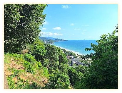 View point 이미지