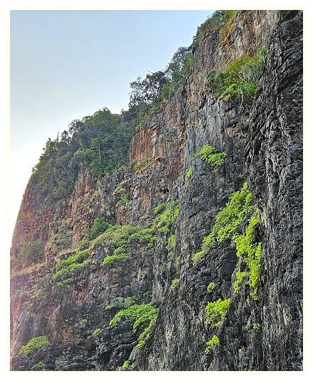 Wang Long Bay 이미지