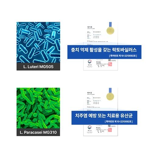 밸런스웰 덴티클린 특허 구강유산균 HACCP 식약처 인증, 60정, 1박스 이미지