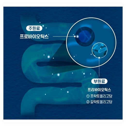 옵션선택) 100억 보장 장건강 면역 아연 이뮨 생유산균 락토바실러스 비피더스 프로바이오틱스 / 온가족 드시모네 유산균, 60정, 1개 이미지