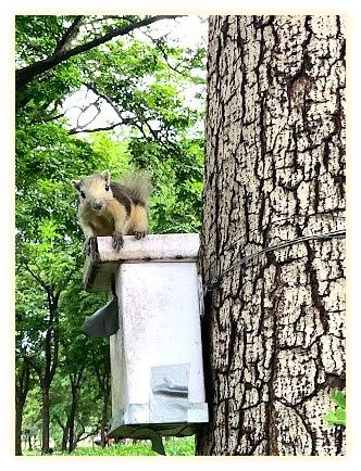 와치라벤짜탓 공원 이미지