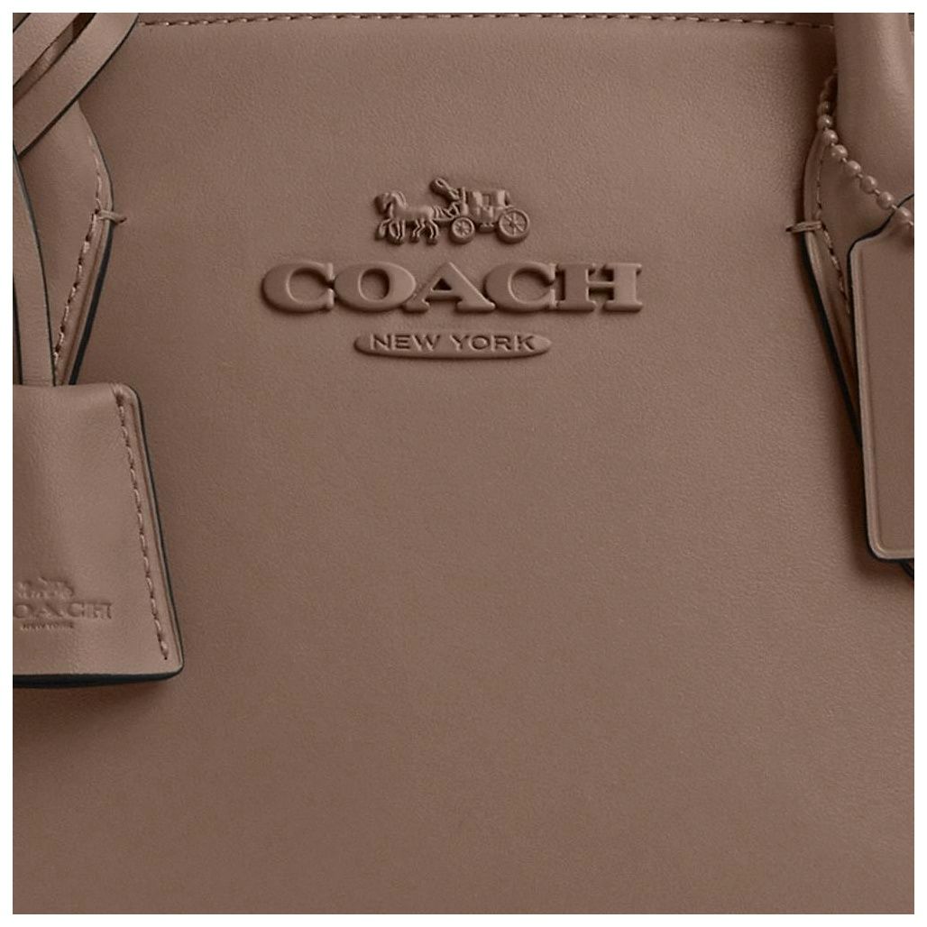 코치 Andrea Carryall Bag 이미지
