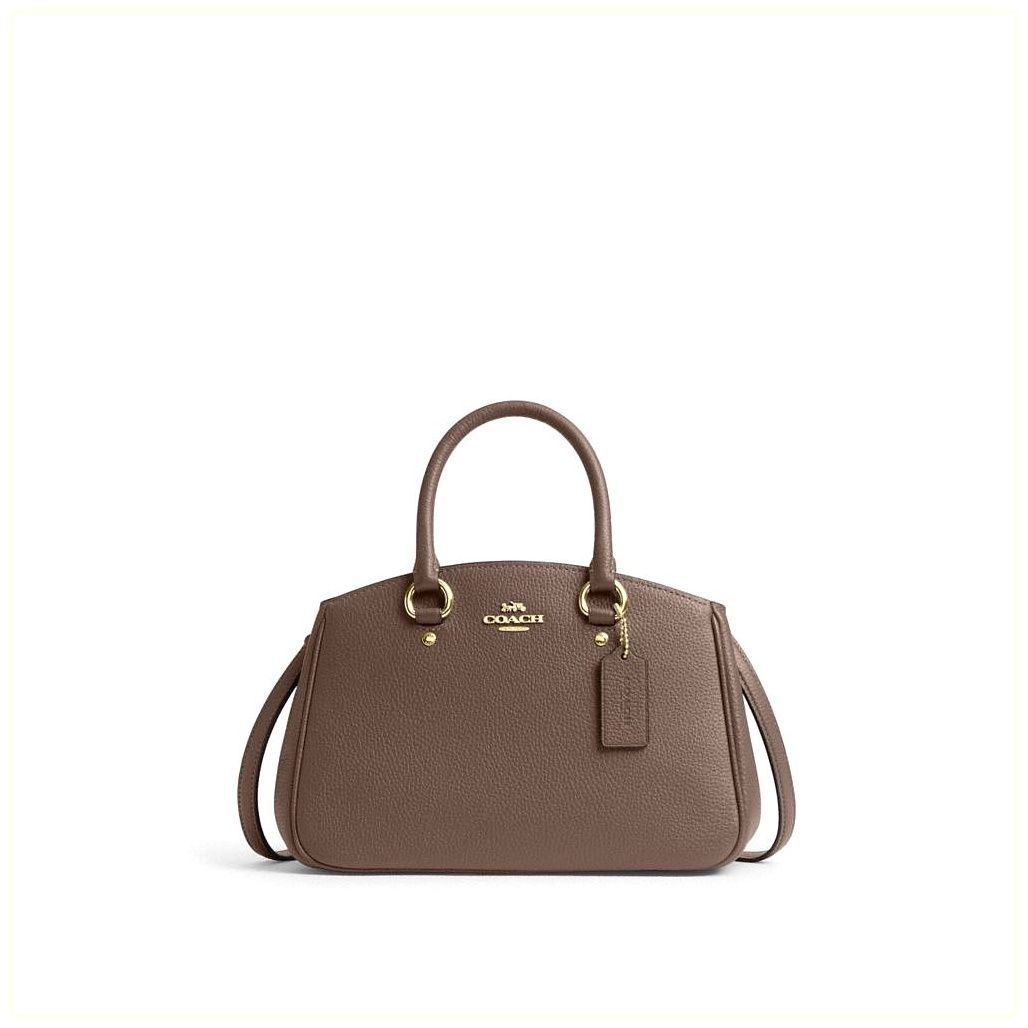 코치 Savannah Small Carryall Bag 이미지