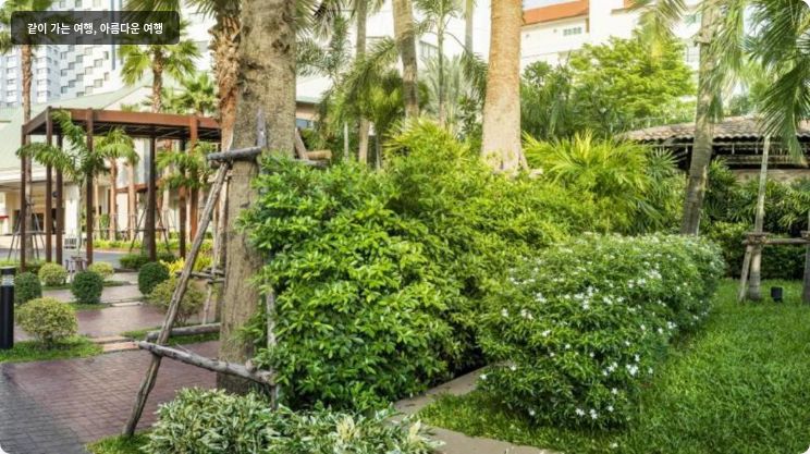 좀티엔 팜 비치 호텔 앤 리조트 이미지