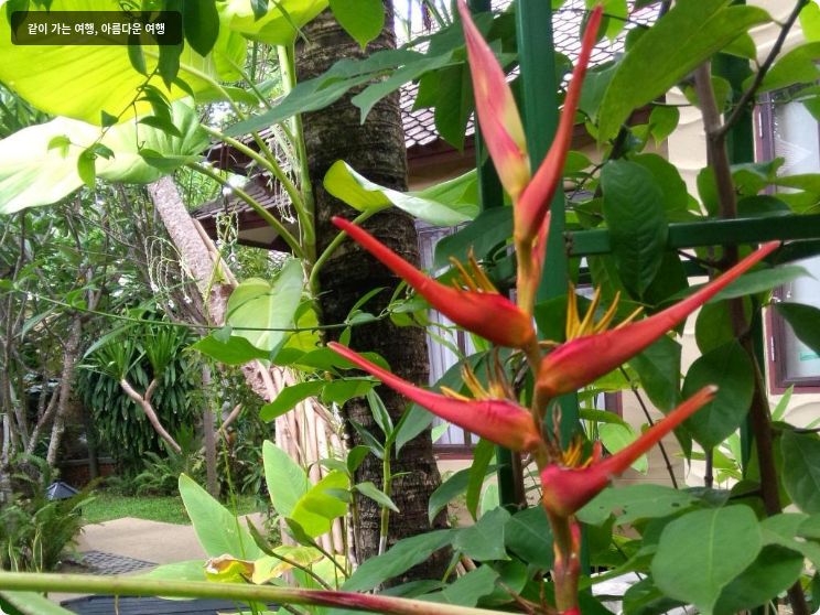 Rummana Boutique Resort 이미지