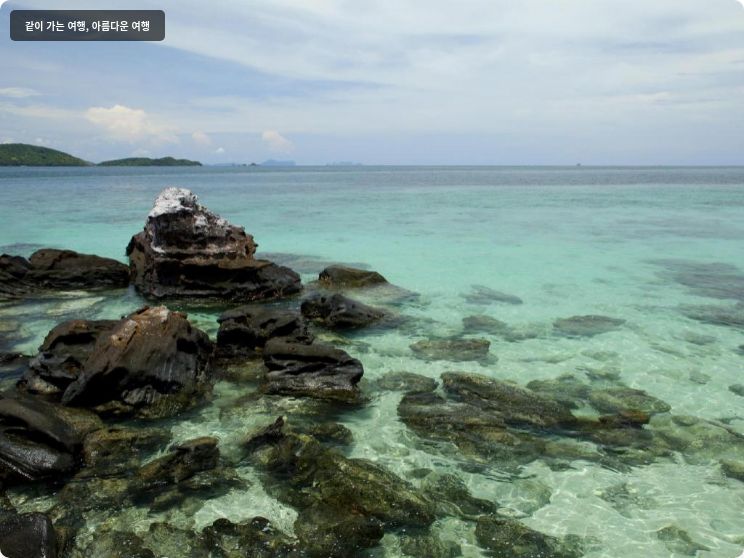 글로우 엘리시어 코 야오야이 (SHA Extra Plus) 이미지